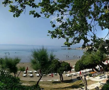 Periska Dalmatina * Σπλιτ