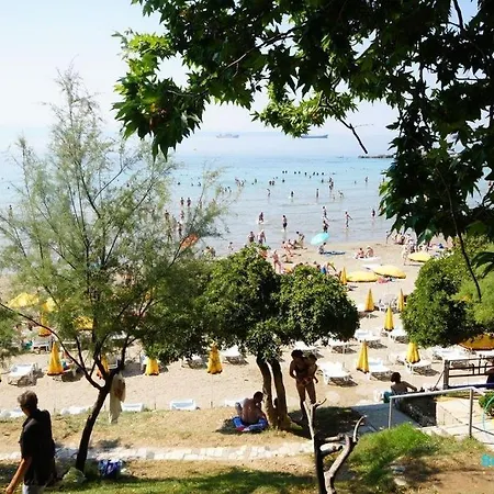 Daire Periska Dalmatina *